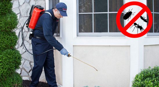 Ardanuç Gümüşkurt İlaçlama böcek ilaçlama ve haşere kontrolü — ilaclama-tr.com